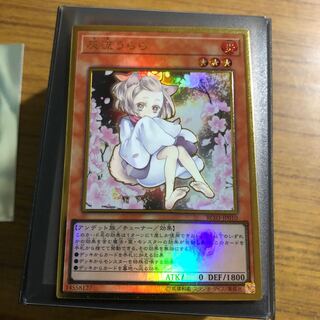 灰流うらら　プレミアムゴールドレア　絵違い