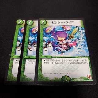 ピクシー・ライフ