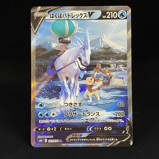 Hakuba Budrex V SA SR 073/070