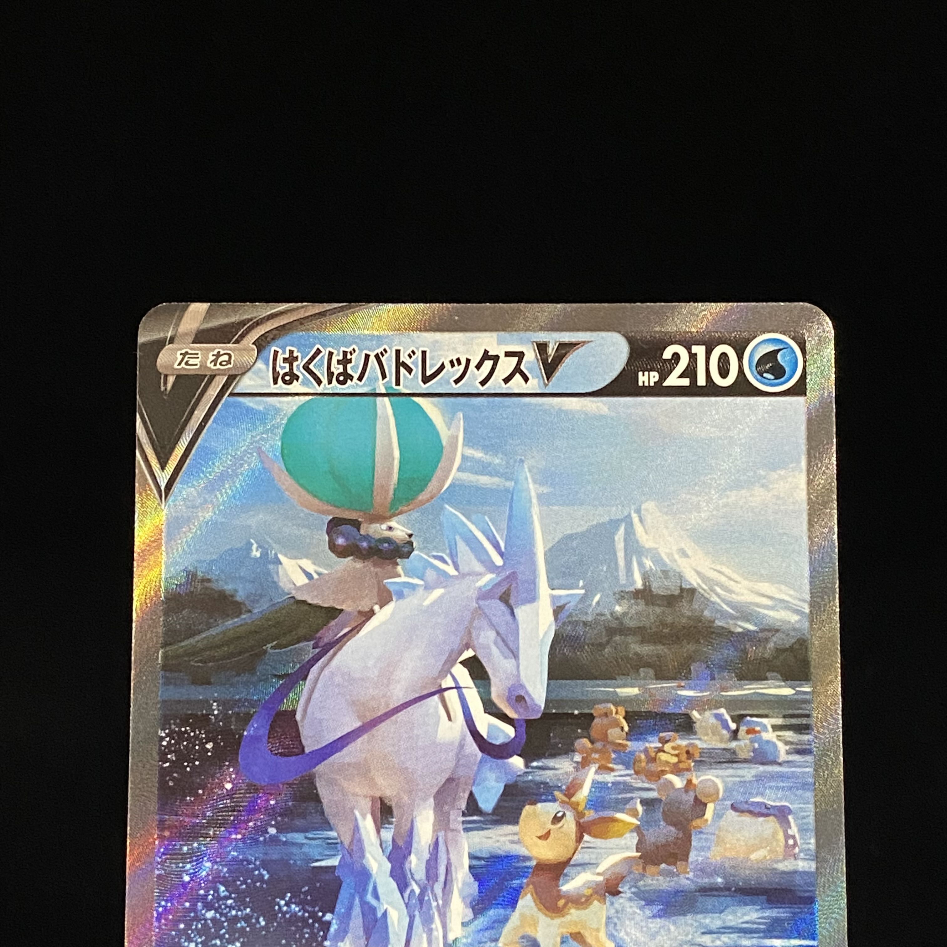 Hakuba Budrex V SA SR 073/070