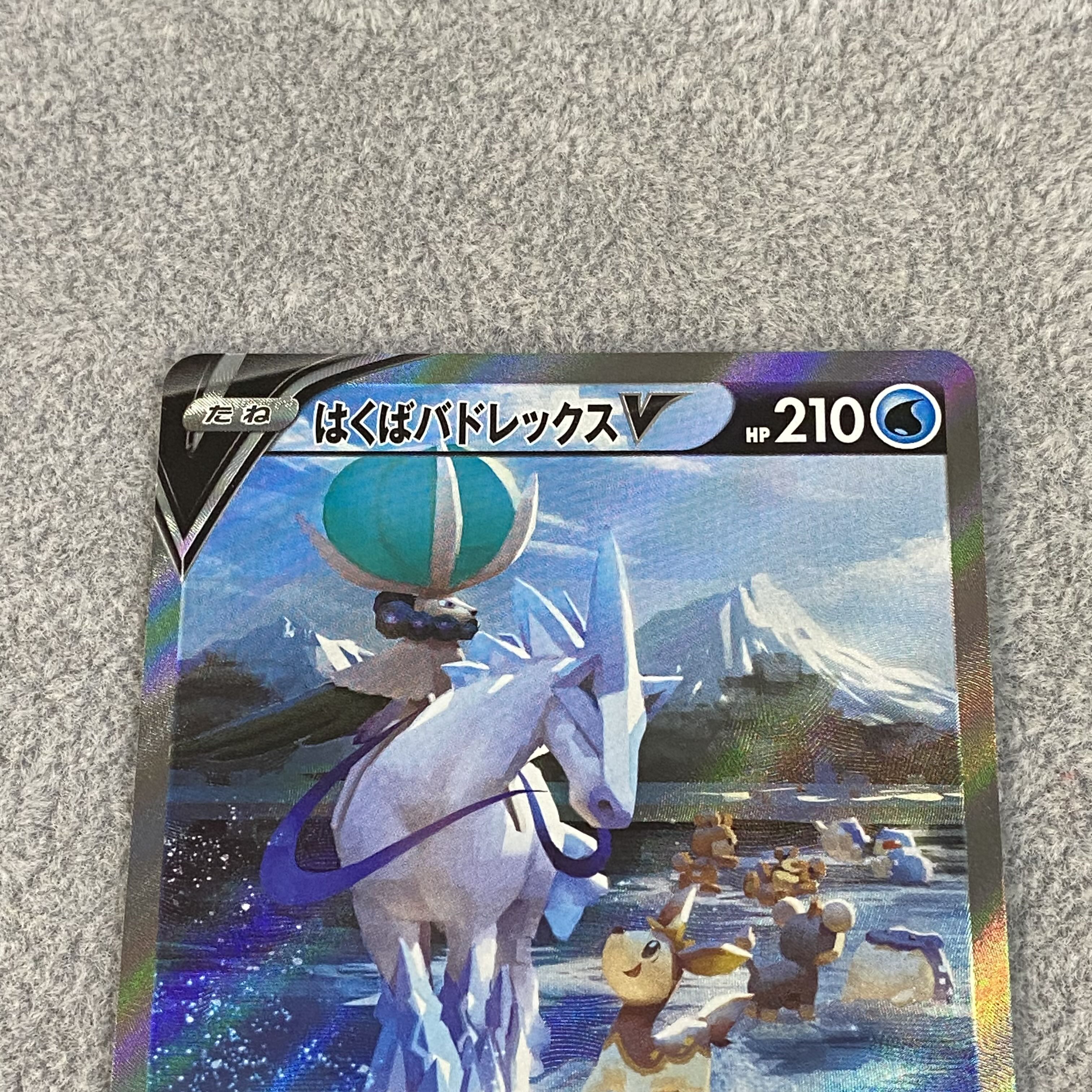 Hakuba Budrex V SA SR 073/070