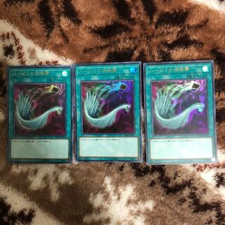 ハーピィの羽根帚