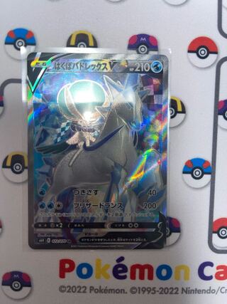 Hakuba Budrex V SR 072/070