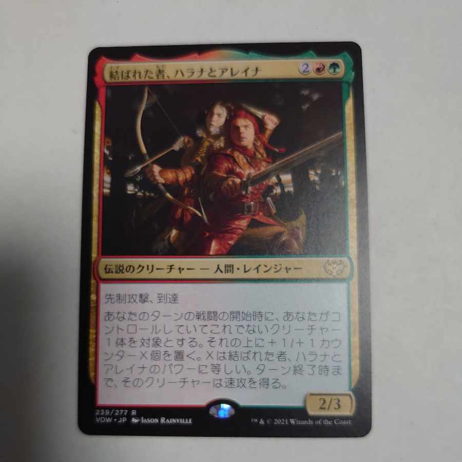 結ばれた者、ハラナとアレイナ  1枚