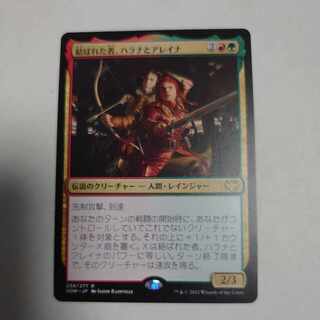 結ばれた者、ハラナとアレイナ  1枚