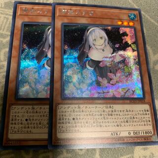 儚無みずき 絵違い シク レアコレ 2枚セット