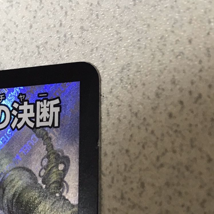 生命と大地と轟破の決断