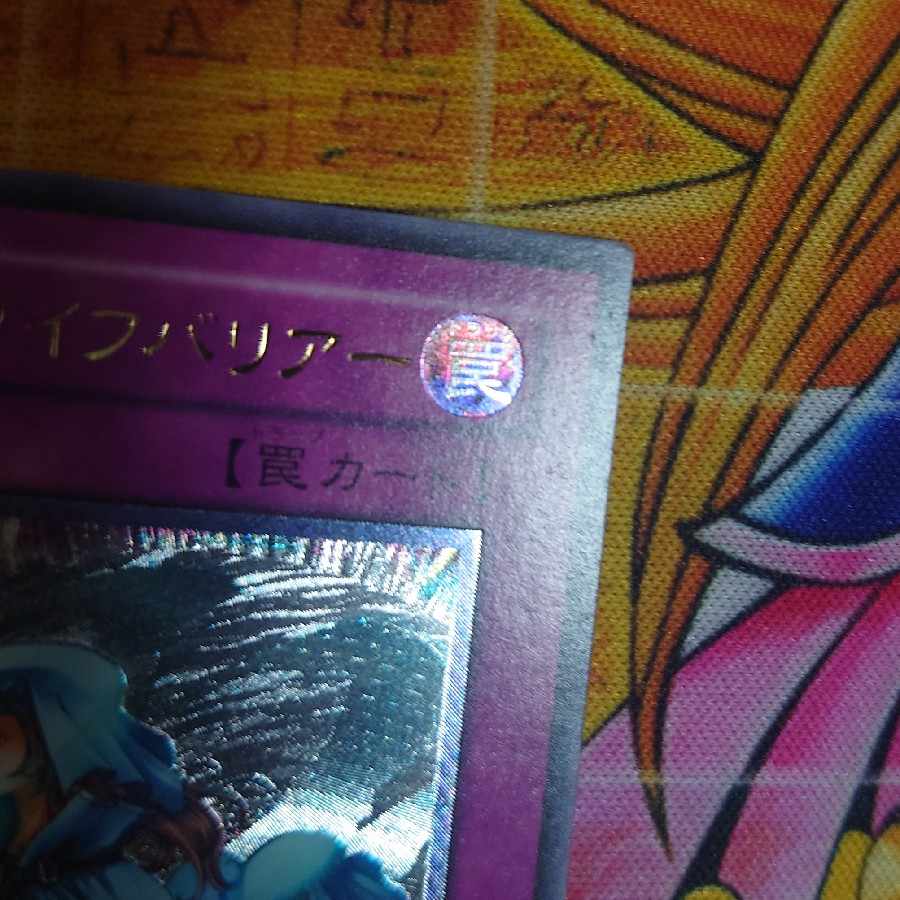 せい様 専用】ホーリーライフバリアー レリーフの通販 ミネ 