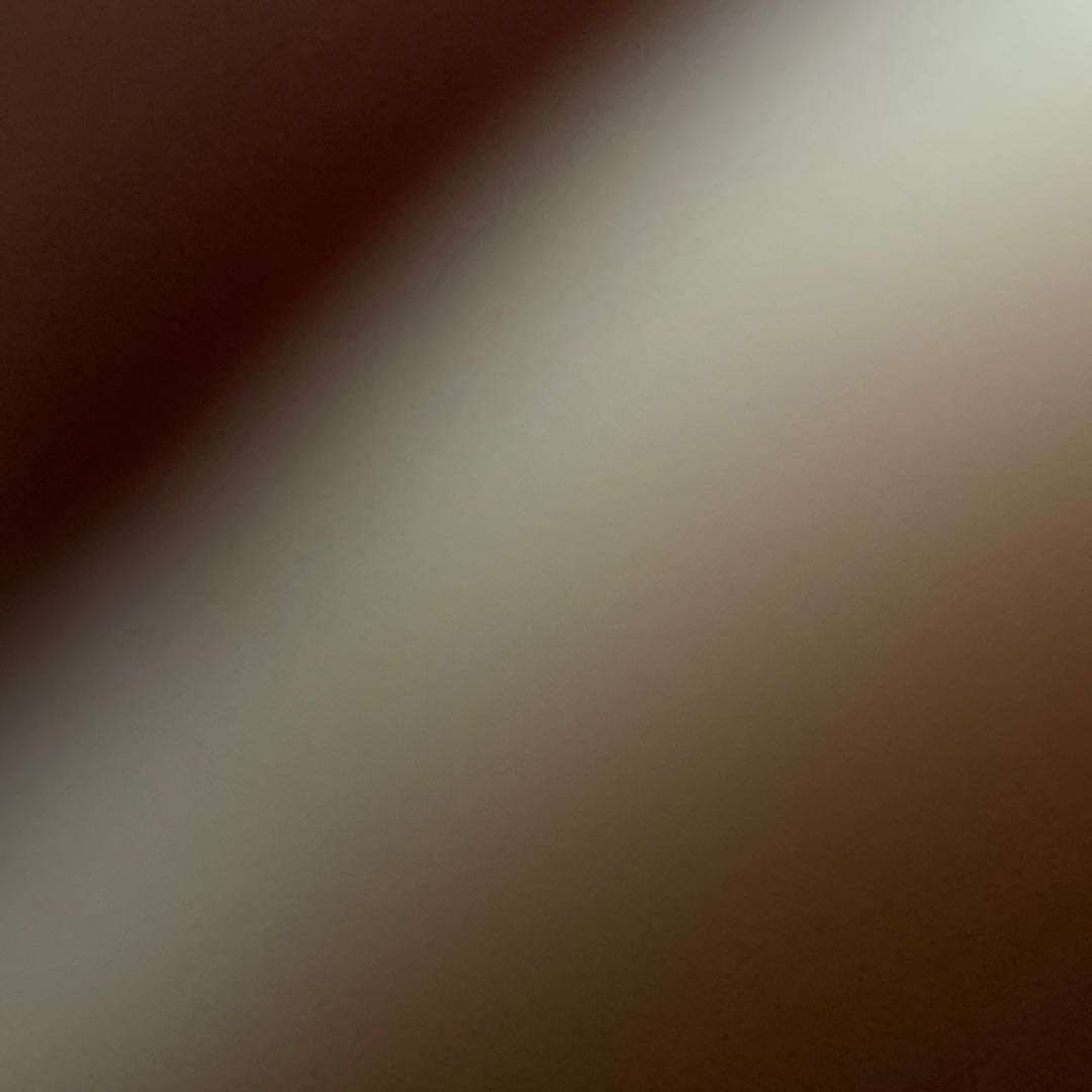 For the exclusive use of Mr. Shiota