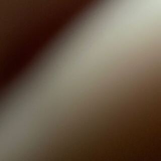 For the exclusive use of Mr. Shiota