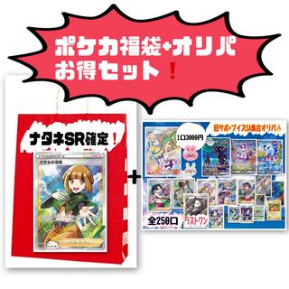 1111 Pokéka grab bag! Ad sure!!! (GardeniaSR fixed) + hot recommended Oripa Limited Search)Marnie Serena Eevee Heroes Jet Black Geist Yami Bag Mystery Bag