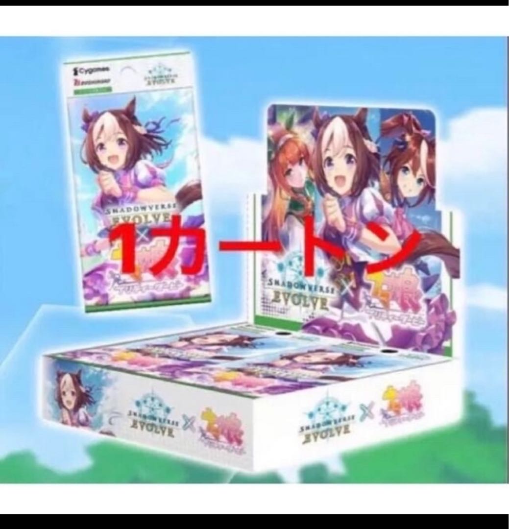 専用 1枚