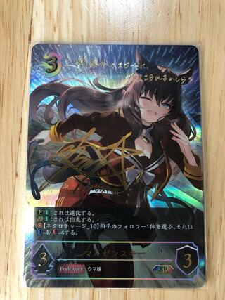 Marzenski SP CP01-SP13 2022