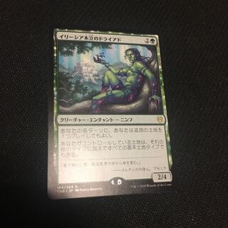 イリーシア木立のドライアド