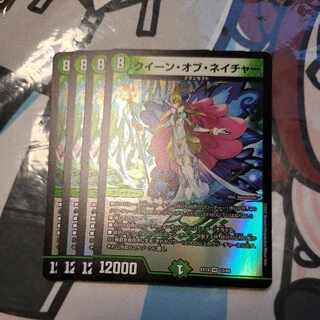 クイーン・オブ・ネイチャー VR 13/68