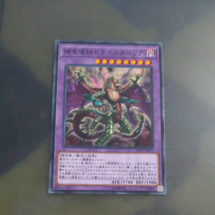 Predaplant Dragostapelia Normal JP053 [Mokurindo