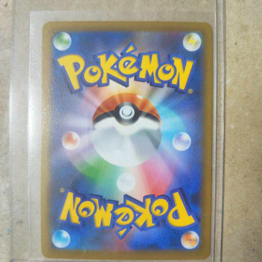 Rhododendron SR 081/067