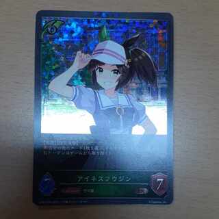 アイネスフウジン　プレミアム