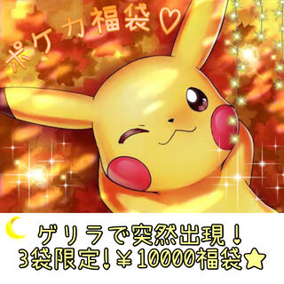 Sold Out★[PokéKagera Lilac Fukubukuro is now available!