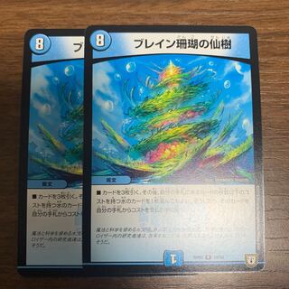 ブレイン珊瑚の仙樹