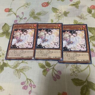 Ash Blossom & Joyous Spring