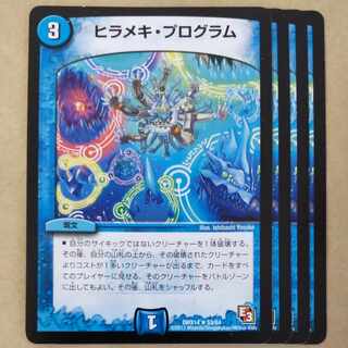 Flounder program 4 pieces