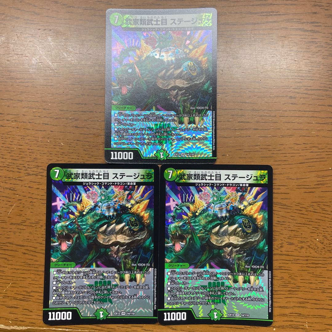 Samurai family Samurai order Stejura, VR 14/110.