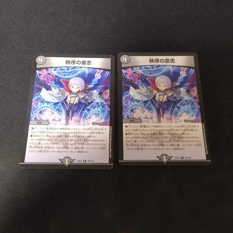 Order's Will 2 pieces