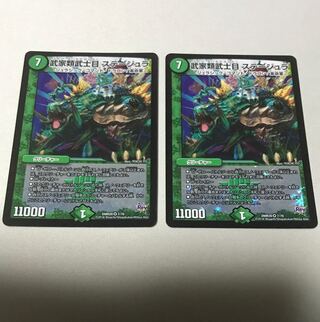 Samurai family Samurai order Stejura VR 7/70