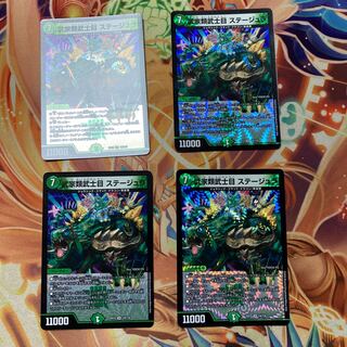 Samurai Family Samurai Eye Stejura VR 14/110, set of 4