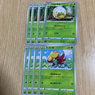 ワタシラガ進化ライン