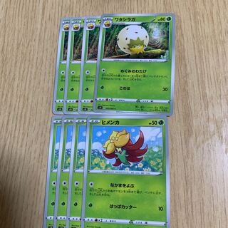 ワタシラガ進化ライン