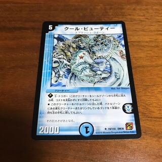 Cool Beauty R 19/110