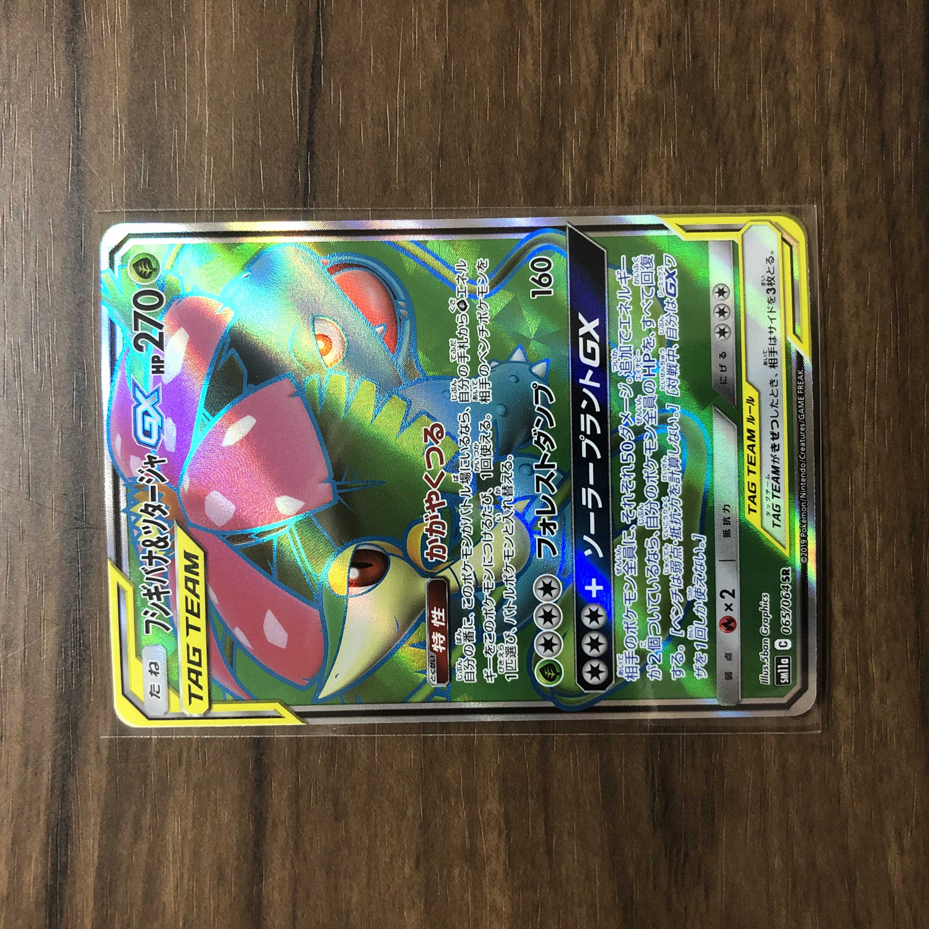 Venusaur & SnivyGX SR 065/064