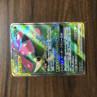 Venusaur & SnivyGX SR 065/064