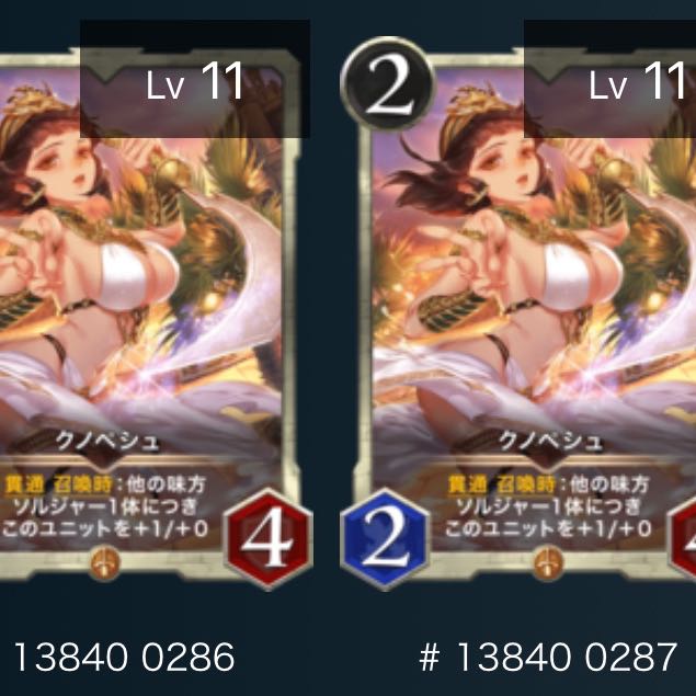 クノペシュ（2枚セット）