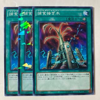 6800 Predapruning ☆9476