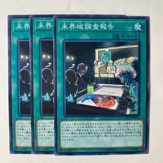 6831 未界域調査報告 ノーマル JP032