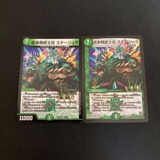 Samurai family Samurai order Stejura VR 14/110 7/70