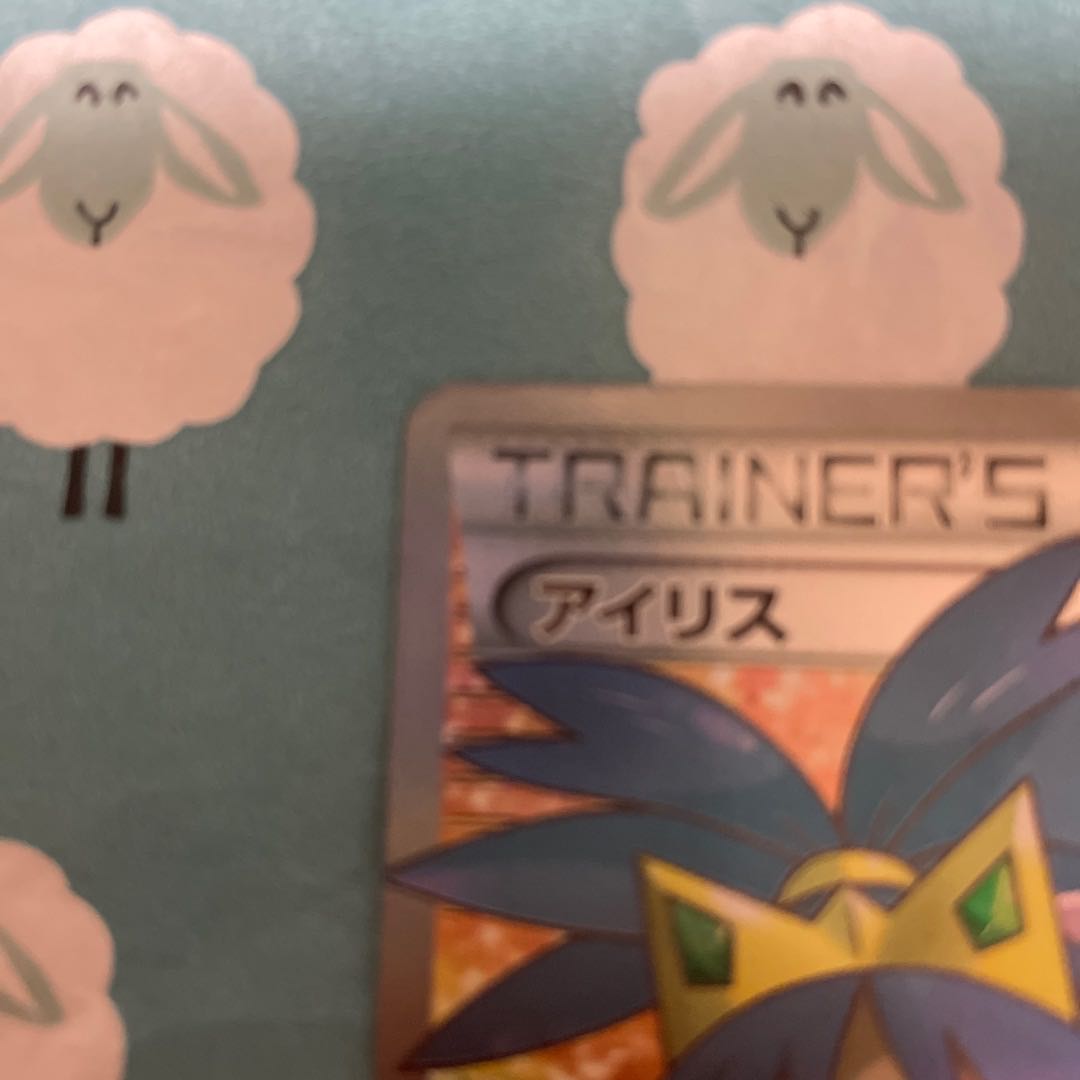 アイリス SR 082/076 BW9 最終値下げ