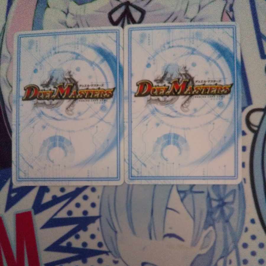 防羅の意志 ベンリーニ  1枚