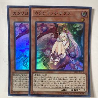 Red Blossoms from Underroot