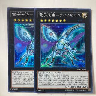 Electron photozoon - Rhinocebus ☆9539