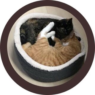 flatmagiオリパ「激アツ1000円オリパ」