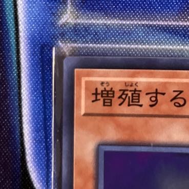 Maxx "C" Super Rare JP004