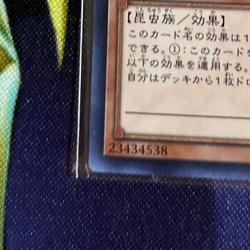 Maxx "C" Super Rare JP004