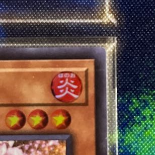 Ash Blossom & Joyous Spring Super Rare JP016