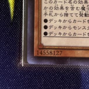 Ash Blossom & Joyous Spring Super Rare JP016