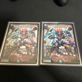 SSS class natural disaster Dead Damned 2/18