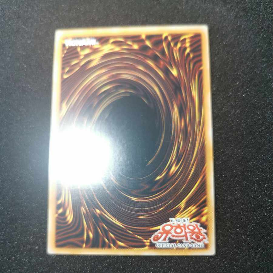 遊戯王 与奪の首飾り アジア レリーフ 状態B〕☆旧アジア☆与奪の首飾り【レリーフ】{RDS-AE040